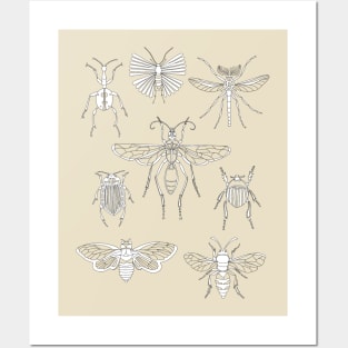 Bugs Everywhere Posters and Art